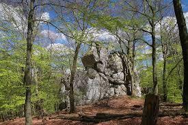 Rezerwat Sokole Góry